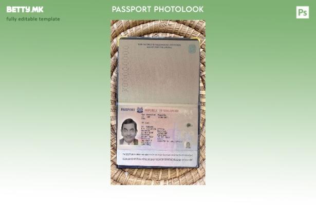 Модерен стил шаблон за фото изглед на Singapore pass ( ).